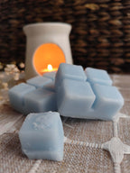 Cera Aromática Peony Blush Suede - Sim&Ross