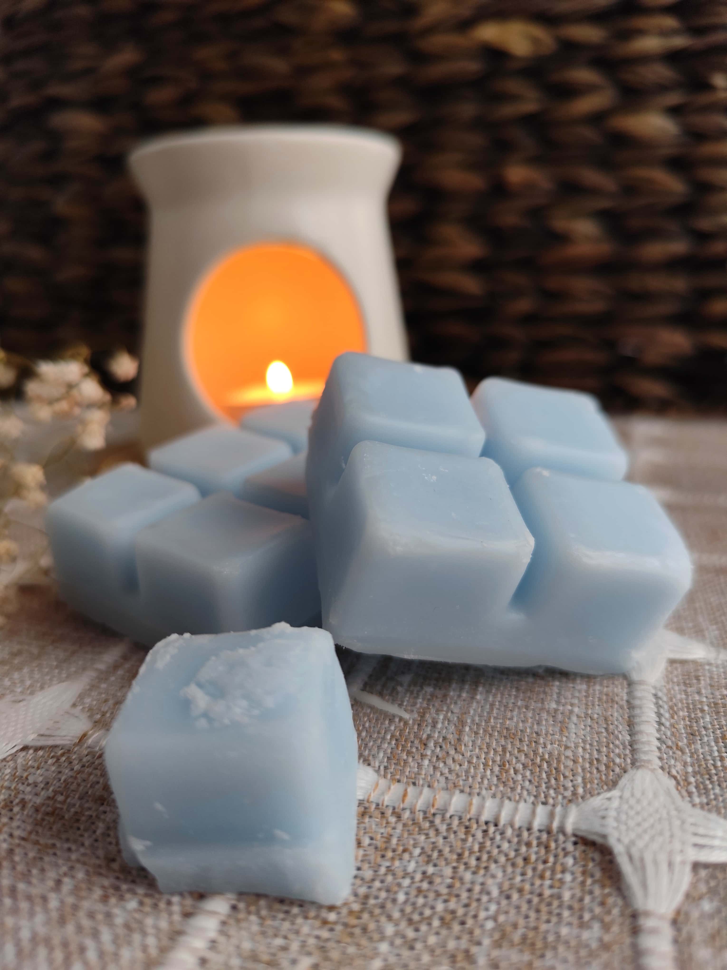 Cera Aromática Peony Blush Suede - Sim&Ross