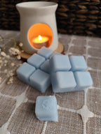 Cera Aromática Peony Blush Suede - Sim&Ross