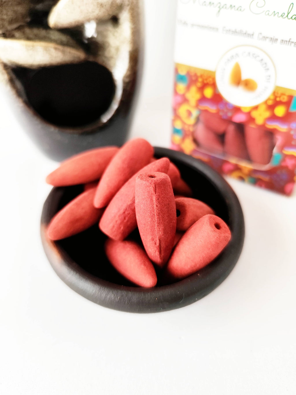 Conos de Reflujo Manzana · Canela · Clavos de olor – Desi Vibes